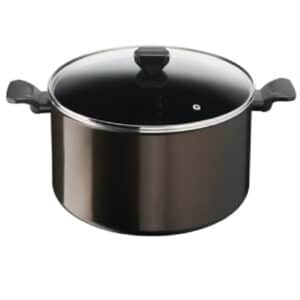 TEFAL G6 Easy Cook & Clean Stewpot 24cm + Glass lid  B5544602