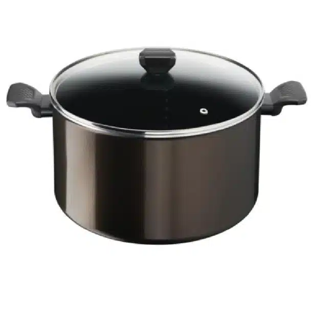TEFAL G6 Easy Cook & Clean Stewpot 24cm + Glass lid  B5544602