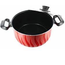 Tefal Tempo Flame Stewpot 20cm + Glass lid | Made in France | C3044485