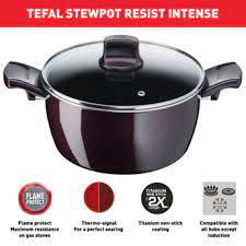 Tefal Resist Intense Stewpot 22cm + Glass Lid | Made in France | D5224582