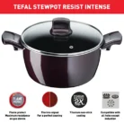 Tefal G6 Resist Intense Stewpot Single Features
