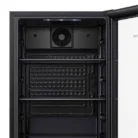 Hisense RBC122N4ASU2 Inside of Fridge