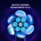 Oral iOM Series 7 Dentist Inspired Round Brush Heads