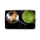 Domo do333ip Double Induction Plate