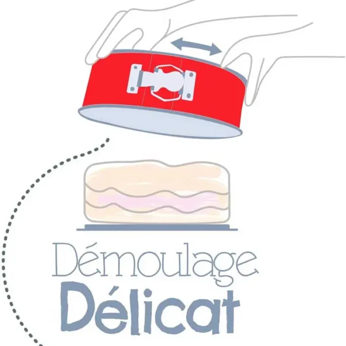 tefal dlibake demoulage tefal dlibake demoulage
